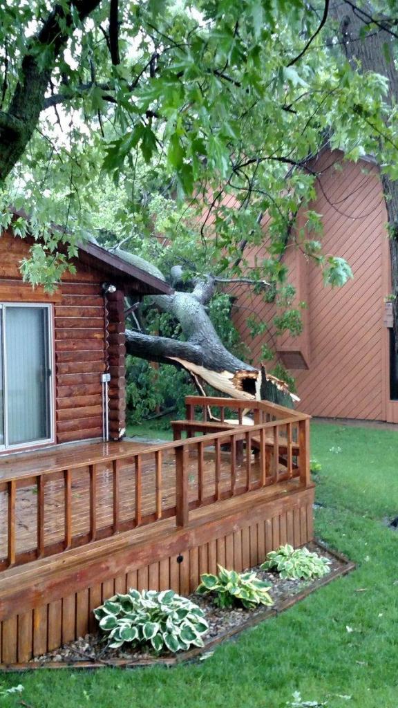 Tree snapped by severe thunderstorm in Spirit Lake, Iowa