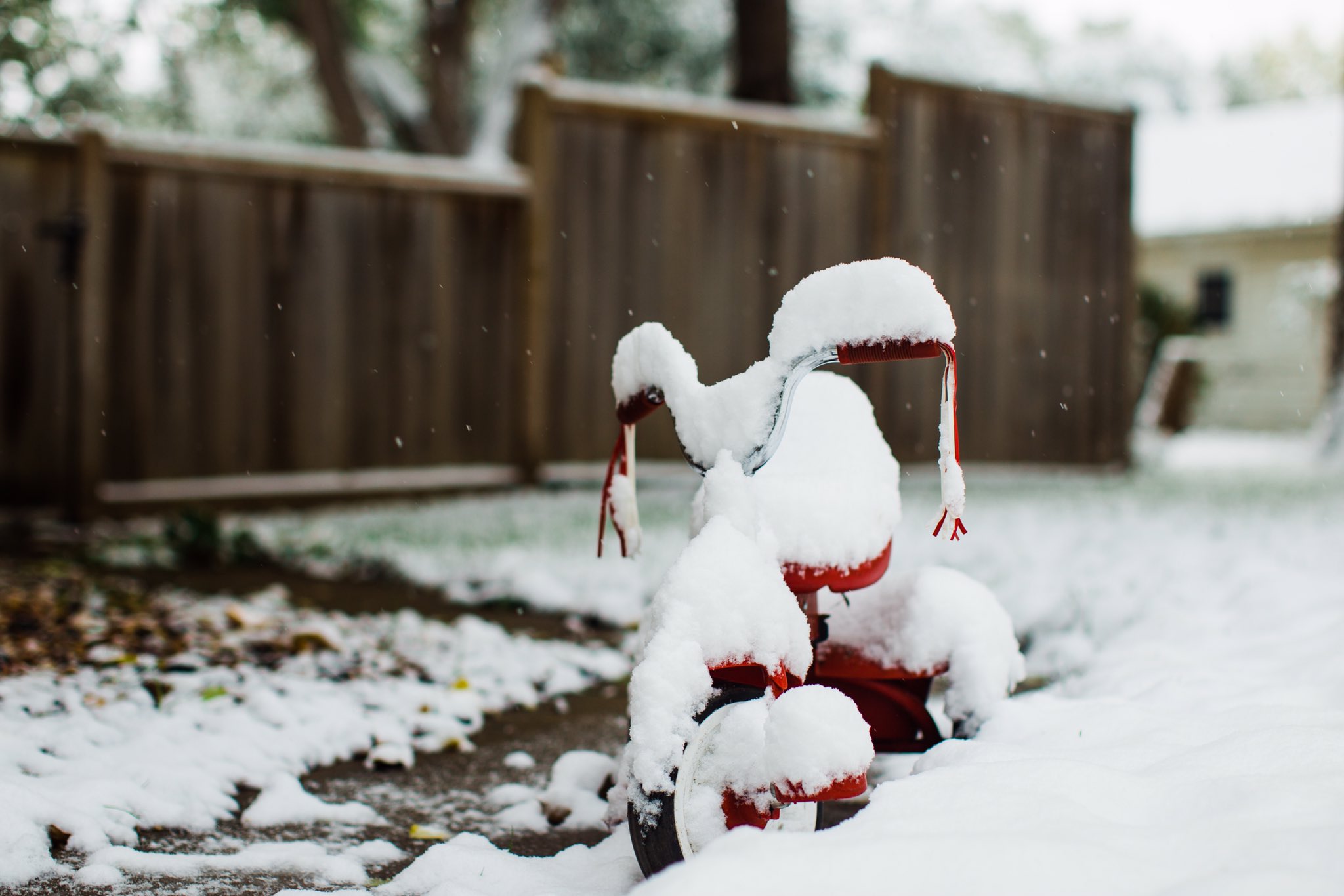 Snowy Tricycle in Sioux Falls