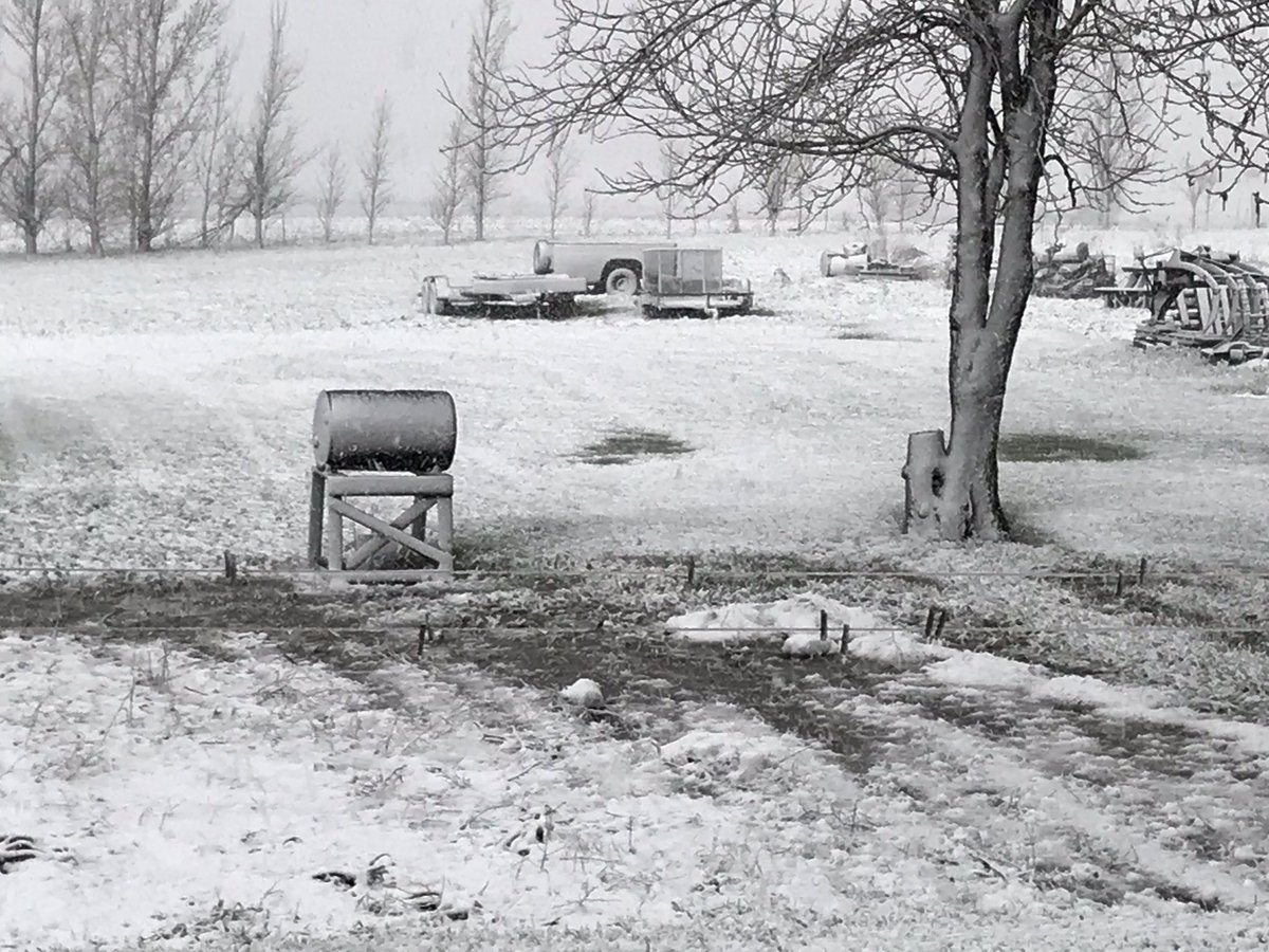 Snowfall in Elkton, SD