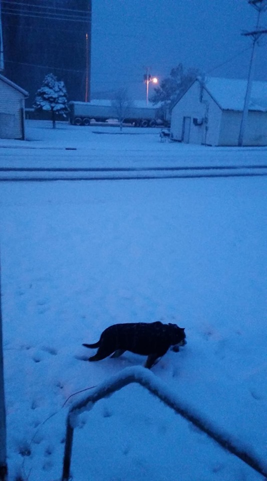 Snowfall in Hendricks, MN