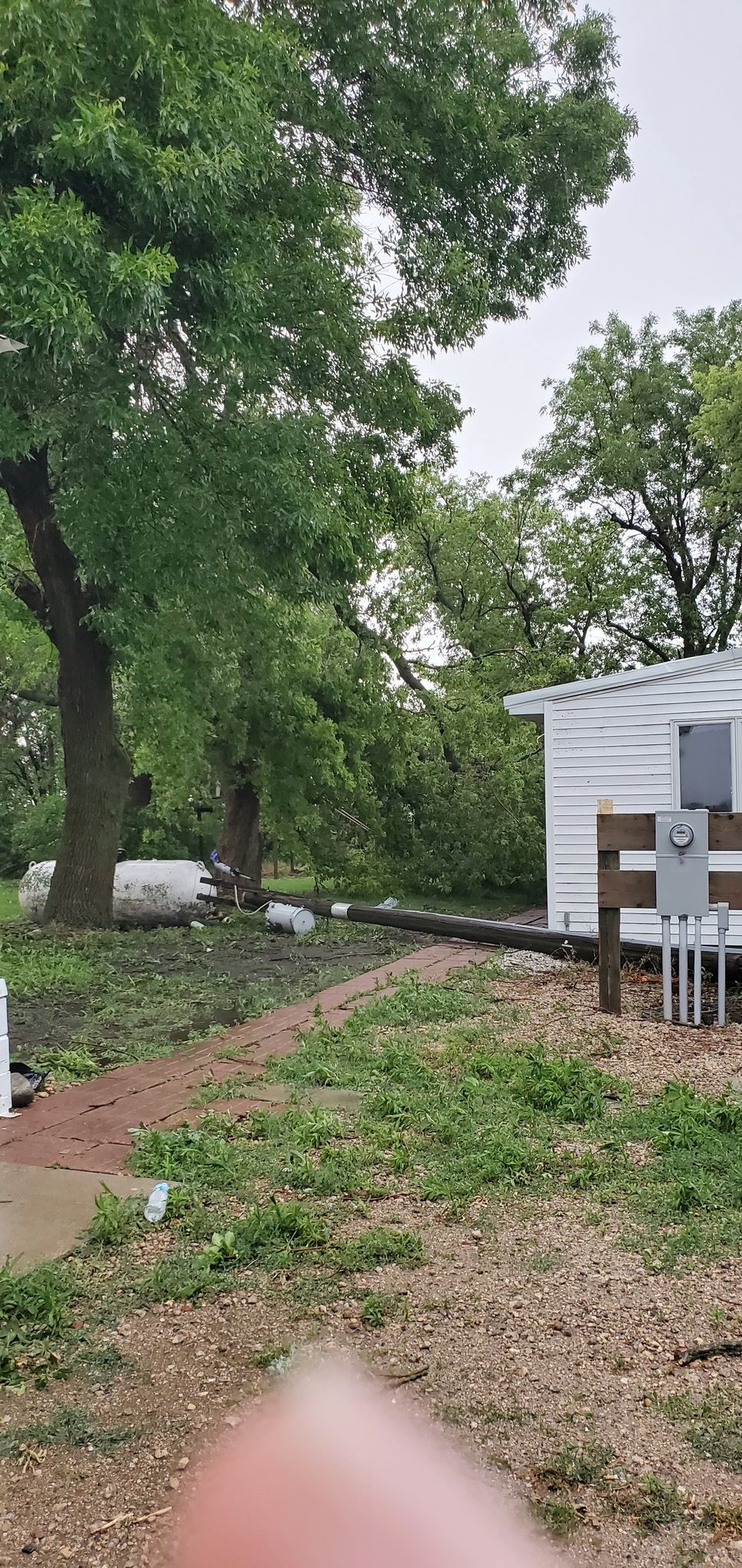 Wind Damage near Ashton, IA