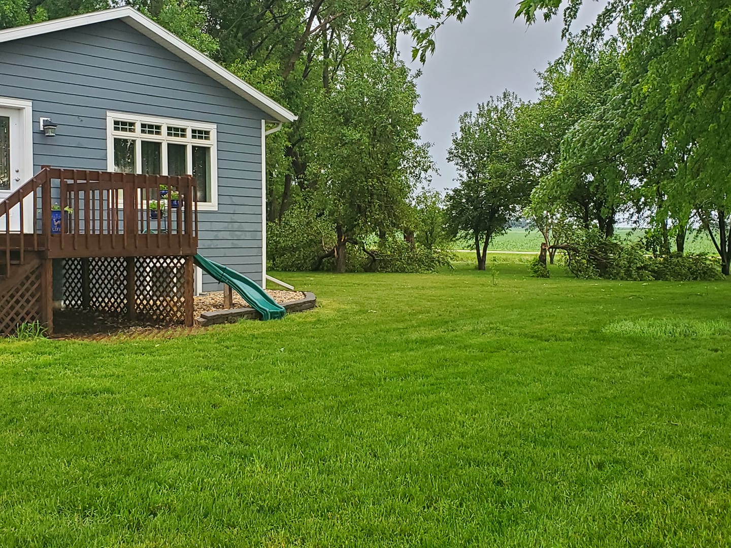 Tree Damage near Sheldon, IA