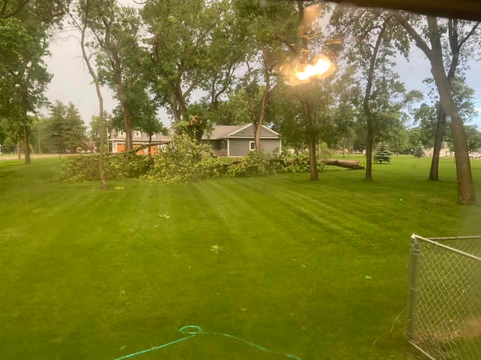 Tree damage in Pipestone, MN