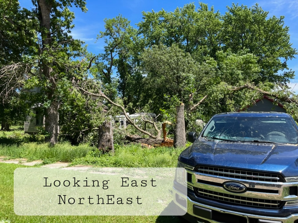 Tree damage in Woodstock, MN