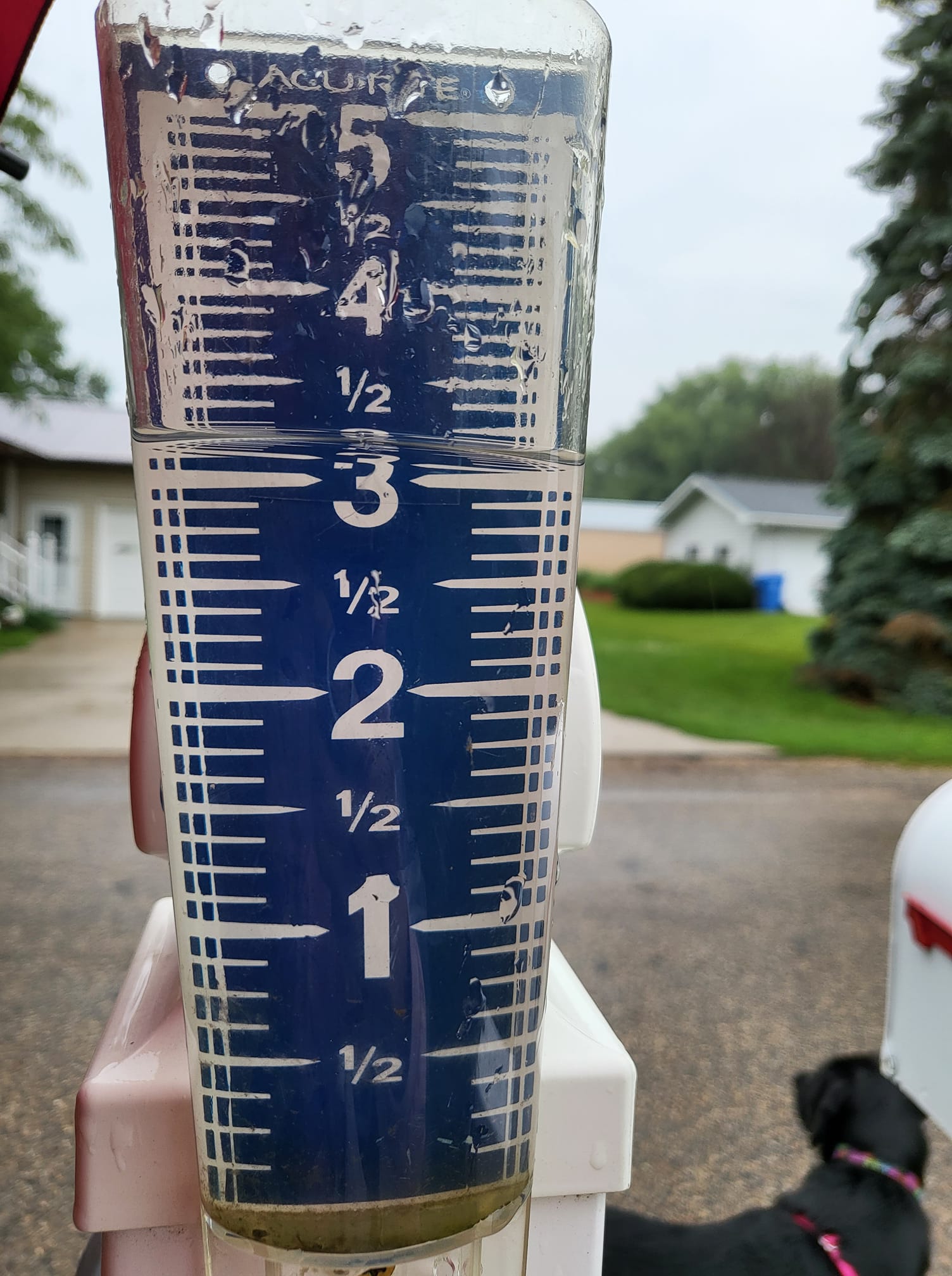 Rain gauge showing just over 3 inches of rainfall in 24 hours.