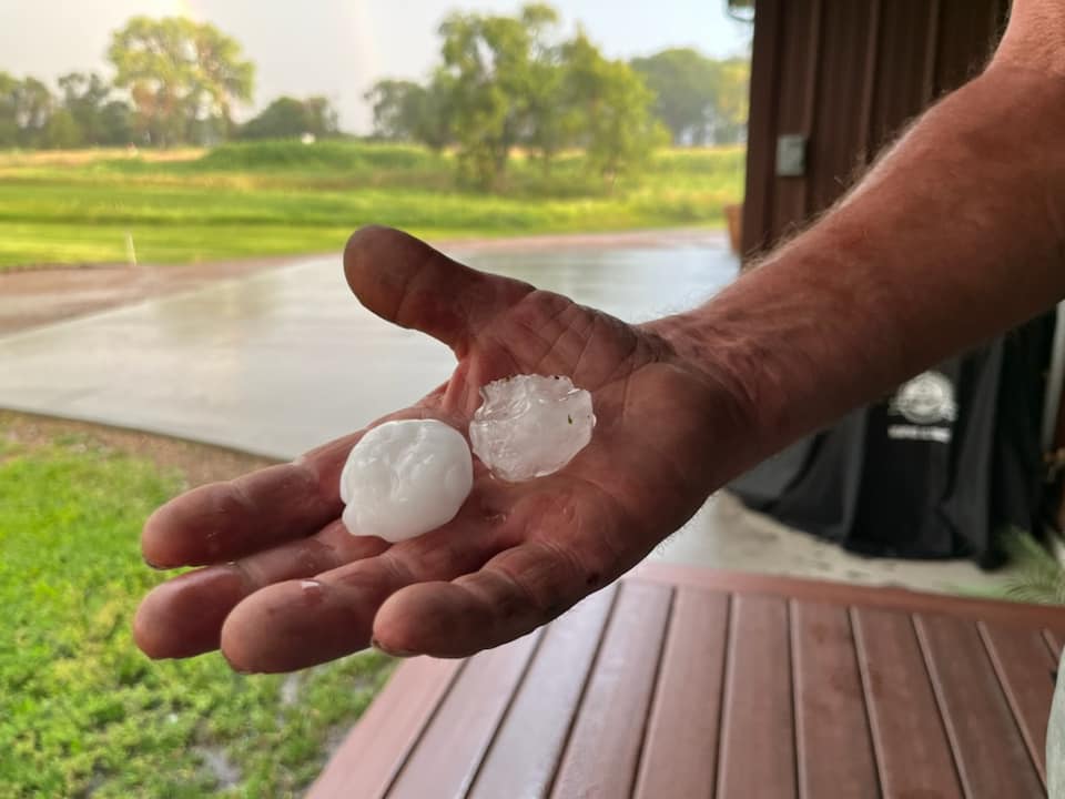 Two flat hailstones in someone's hand, each roughly an inch to an inch and a half across.