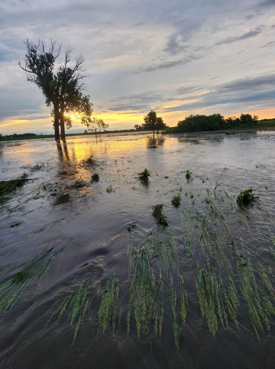 Photo of overland flooding near Parker, SD