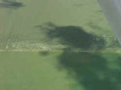 Aerial view of tornado path in field.