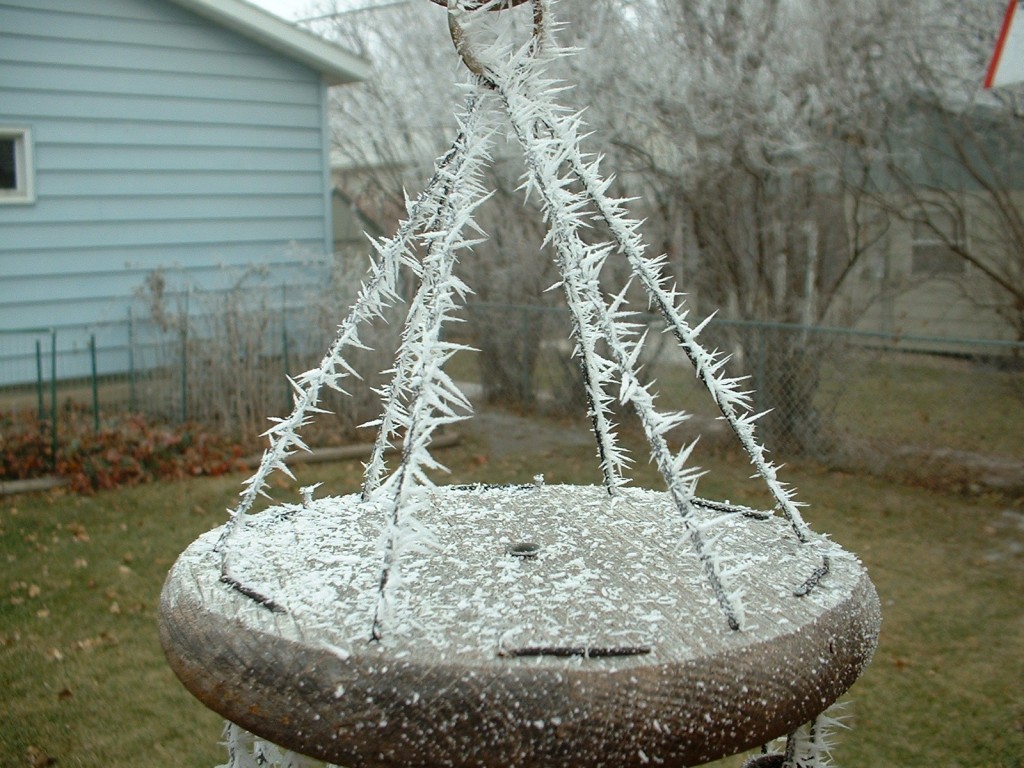 Hoarfrost