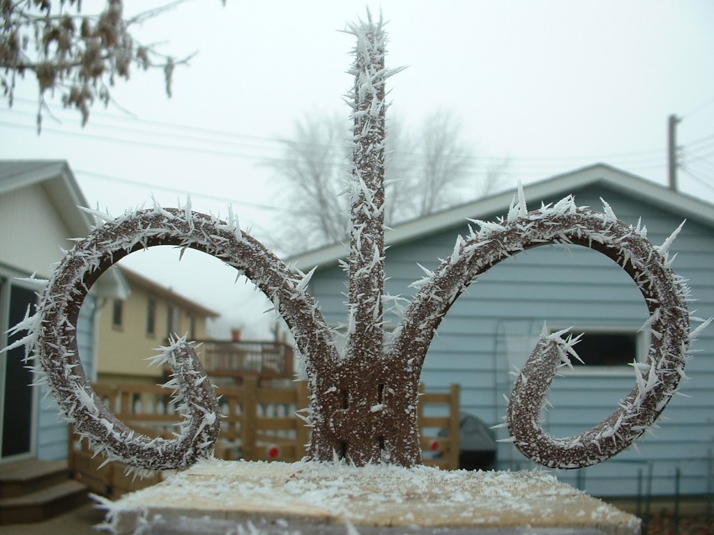 Frost on a plant hanger