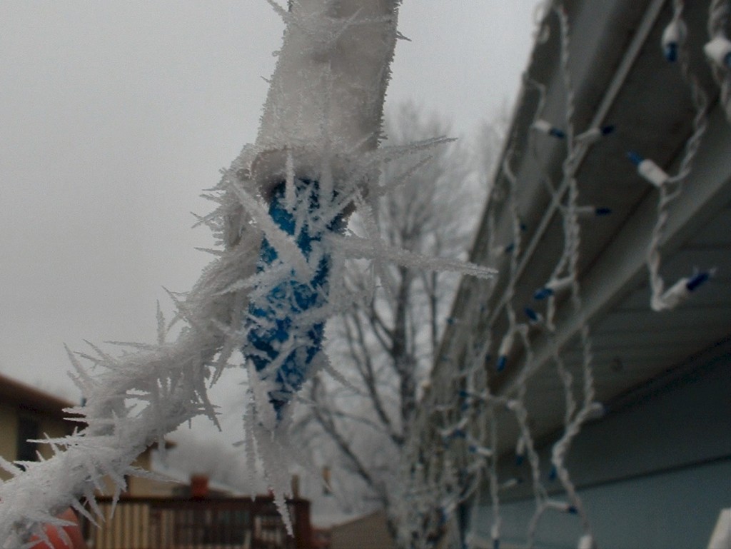 Frost on holiday lights