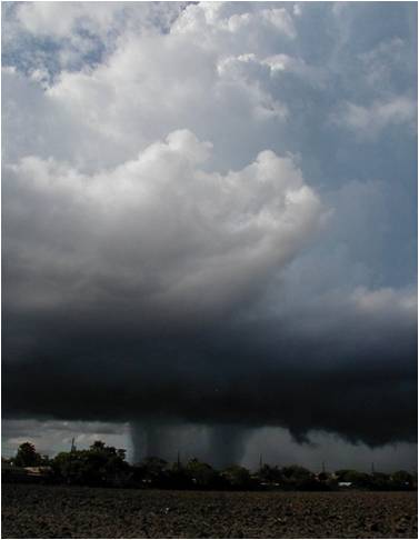 Warm Rain Thunderstorm