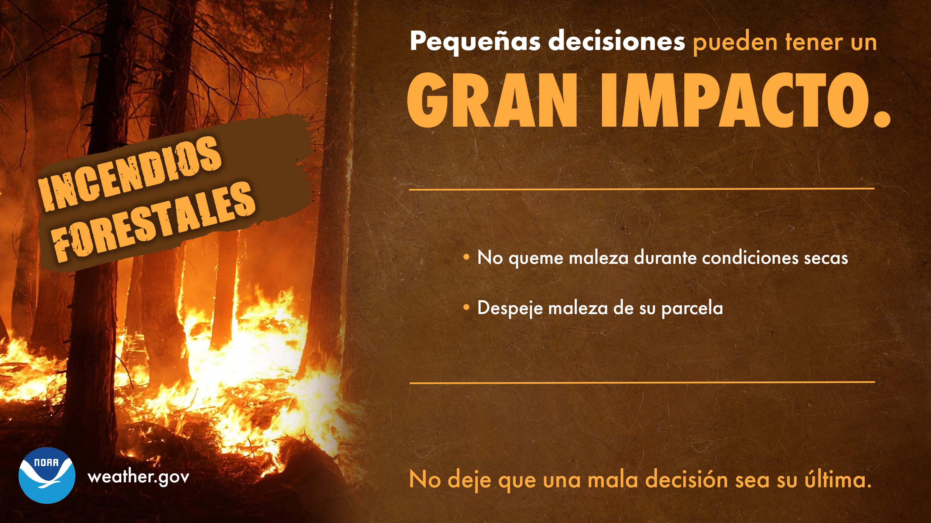 PequeÃ±as Decisiones: Incendios Forestales