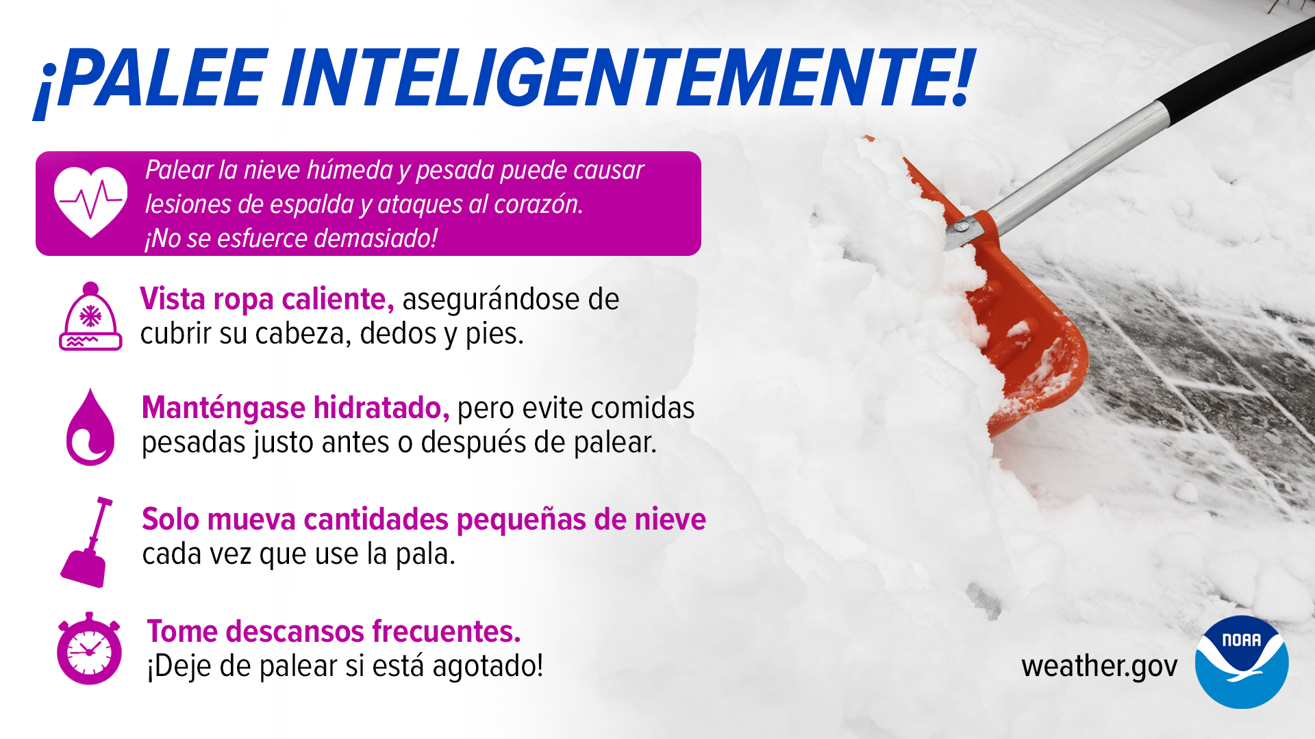 Palear de Forma Inteligente