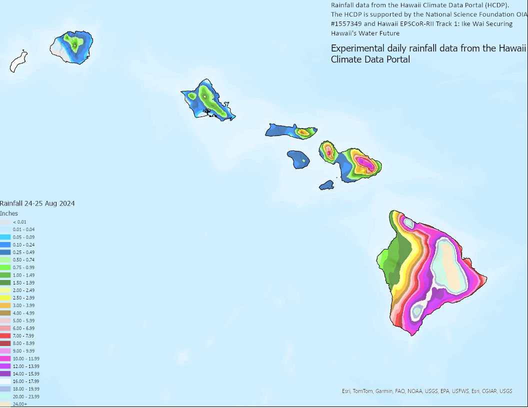 Post Tropical Cyclone Report - Hurricane Hone