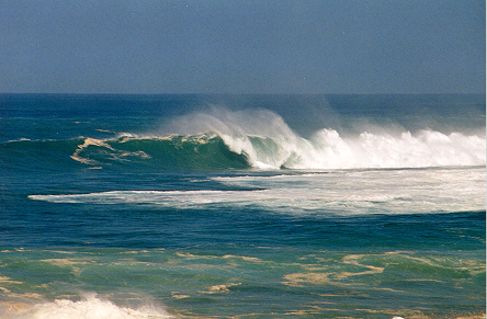 20 feet at Waimea Bay