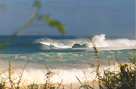 Waimea Bay waves