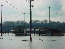 The baseball fields at McFarland Park in Florence are flooded once again.