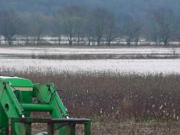 The flood waters extended up into nearby fields.