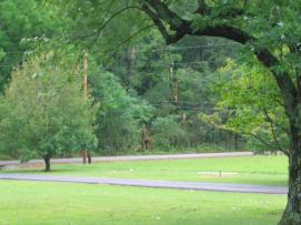 Storm Damage in Limestone County