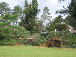 Storm damage near Albertville