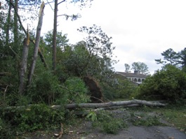 Storm damage near Albertville