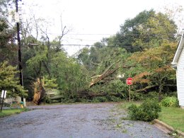 Storm damage near Albertville