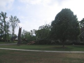 Storm Damage in Madison County