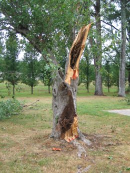 Storm Damage in Morgan County