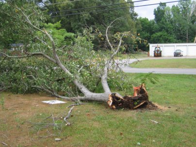 Storm Damage in Morgan County