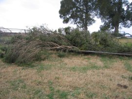 Storm Damage in Lincoln County