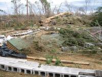 Tornado Damage near Rosalie, AL