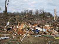 Tornado Damage near Rosalie, AL