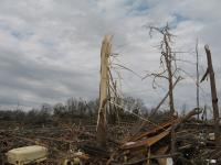 Tornado Damage near Rosalie, AL