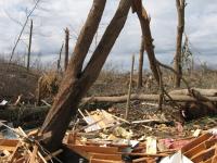 Tornado Damage near Rosalie, AL