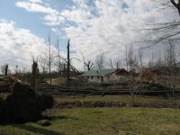 Tornado Damage near Rosalie, AL