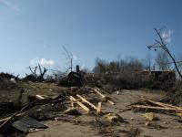 Tornado Damage near Rosalie, AL