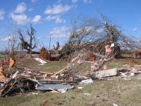 Storm damage near Albertville