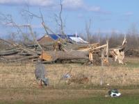 Storm damage near Albertville