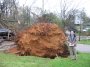 Cullman County damage