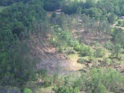 The first of the three tornadoes crossed into Cullman County from Walker County. In this image, you can see several trees downed near Smith Lake, close to the end of the first tornado track.