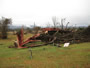 Snapped Cedar Tree near Pikeville