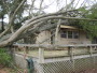 Tree fallen on house along County Road 885