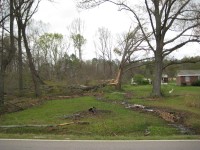 This tree was splintered by the tornado.