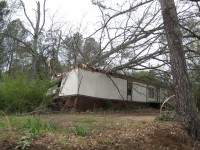 Two trees fell on this mobile home on the southeast side of Grant near the beginning of the tornado's path.