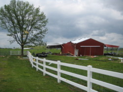 The tornado snapped several trees along Ingram Road, at the beginning of the damage path.