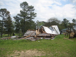 The tornado snapped several trees along Ingram Road, at the beginning of the damage path.