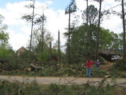 The tornado snapped several trees along Ingram Road, at the beginning of the damage path.