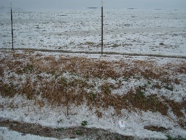 Storm Damage in 