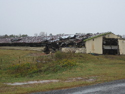 This chicken house received some significant damage to it's sheet metal roof.